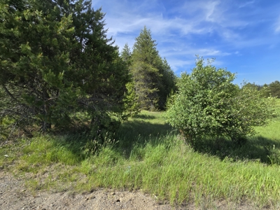 Remarkable 20 Acres on the corner of Hwy 211 & Westside Calispell - image 9