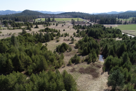 Remarkable 20 Acres on Westside Calispell Rd abutting Stimson Lan - image 15