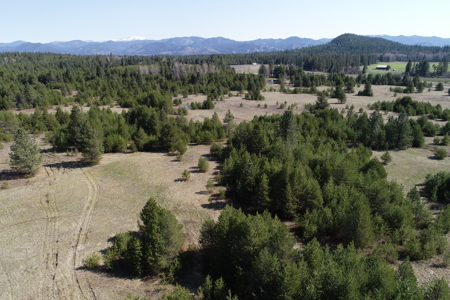 Remarkable 20 Acres on Westside Calispell Rd abutting Stimson Lan - image 16