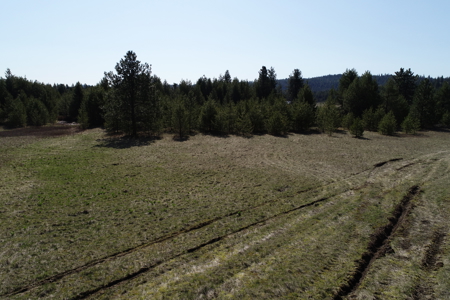 Remarkable 20 Acres on Westside Calispell Rd abutting Stimson Lan - image 14