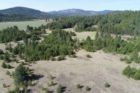 Remarkable 20 Acres on Westside Calispell Rd abutting Stimson Lan - image 9