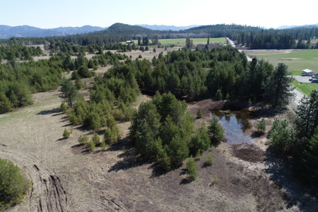 Remarkable 20 Acres on Westside Calispell Rd abutting Stimson Lan - image 3