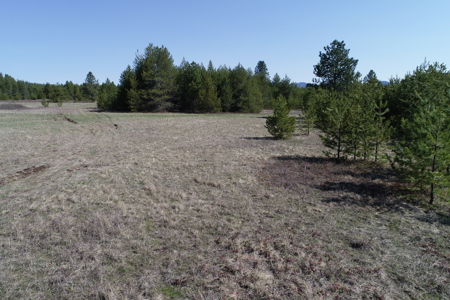 Remarkable 20 Acres on Westside Calispell Rd abutting Stimson Lan - image 13