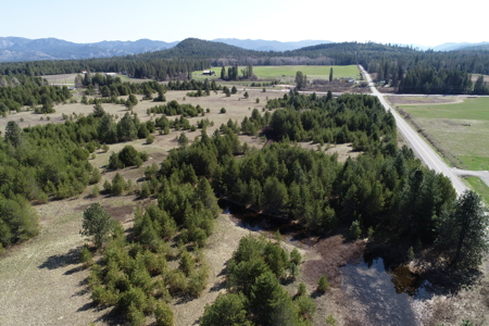 Remarkable 20 Acres on Westside Calispell Rd abutting Stimson Lan - image 4