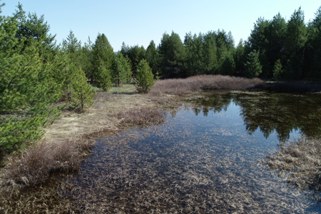 Remarkable 20 Acres on Westside Calispell Rd abutting Stimson Lan - image 12