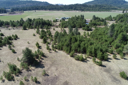 Remarkable 20 Acres on Westside Calispell Rd abutting Stimson Lan - image 10