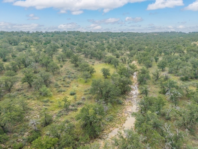 Hunting and Cattle Ranch in San Saba County, Texas - image 15