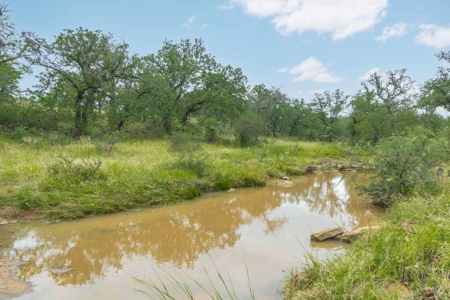 Hunting and Cattle Ranch in San Saba County, Texas - image 5