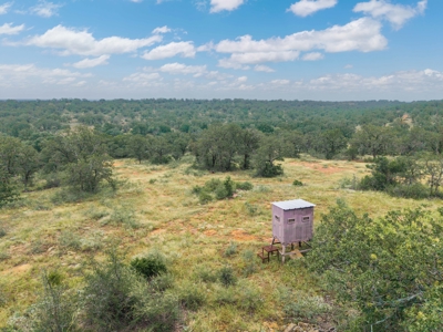 Hunting and Cattle Ranch in San Saba County, Texas - image 4