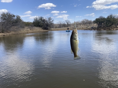 Hunting and Cattle Ranch in San Saba County, Texas - image 47
