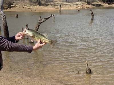 Hunting and Cattle Ranch in San Saba County, Texas - image 50