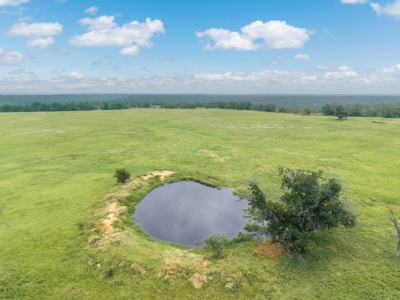 Hunting and Cattle Ranch in San Saba County, Texas - image 11
