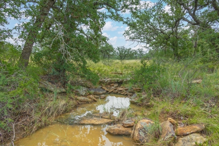 Hunting and Cattle Ranch in San Saba County, Texas - image 38