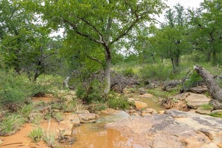 Hunting and Cattle Ranch in San Saba County, Texas - image 6