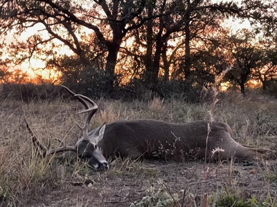 Hunting and Cattle Ranch in San Saba County, Texas - image 46