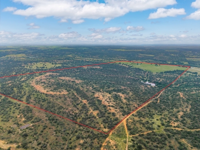 Hunting and Cattle Ranch in San Saba County, Texas - image 3