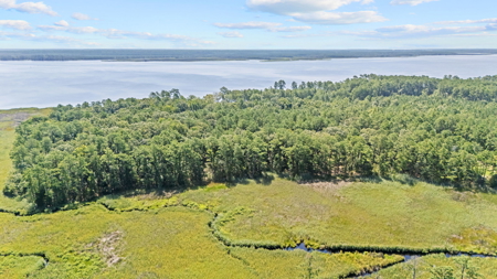 Affordable Lot Near ICW & Pungo River - 1.45 AC - image 19