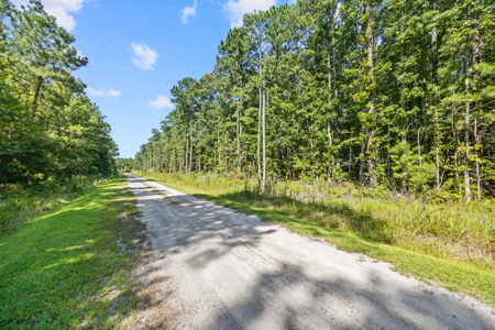 Affordable Lot Near ICW & Pungo River - 1.45 AC - image 3