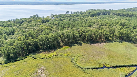Affordable Lot Near ICW & Pungo River - 1.45 AC - image 14
