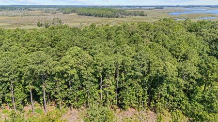 Affordable Lot Near ICW & Pungo River - 1.45 AC - image 9