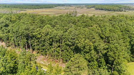 Affordable Lot Near ICW & Pungo River - 1.45 AC - image 10