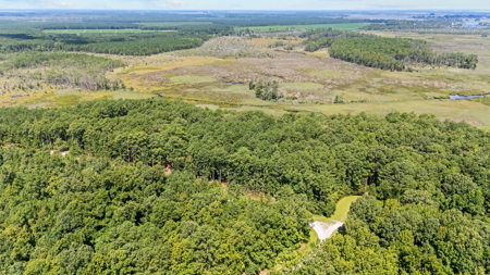 Affordable Lot Near ICW & Pungo River - 1.45 AC - image 4