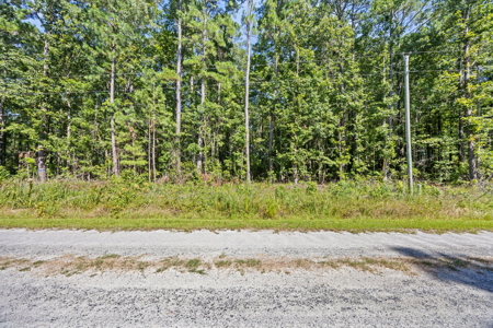 Affordable Lot Near ICW & Pungo River - 1.45 AC - image 16
