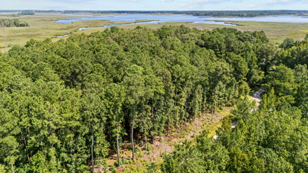 Affordable Lot Near ICW & Pungo River - 1.45 AC - image 15