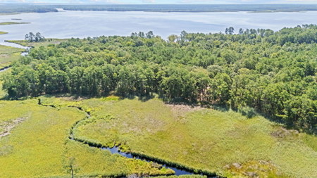 Affordable Lot Near ICW & Pungo River - 1.45 AC - image 6