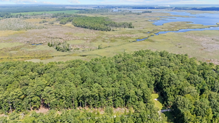 Affordable Lot Near ICW & Pungo River - 1.45 AC - image 13