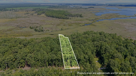 Affordable Lot Near ICW & Pungo River - 1.45 AC - image 12