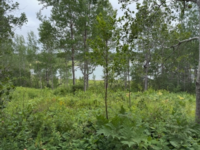 1 Acre Coastal Property in Lubec, Maine - image 1