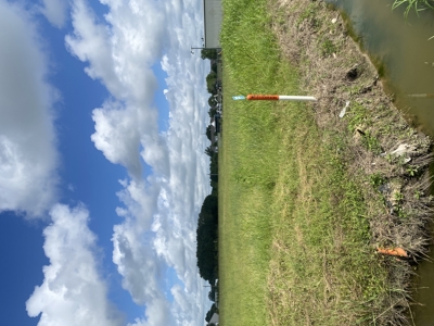.85± Acre Commercial Tract on Ridge Road, Lafayette, LA - image 9