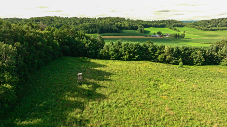 115 +/- Acre Farm Offered in 2 Lots Online Only Auction - image 42