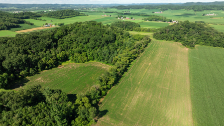 115 +/- Acre Farm Offered in 2 Lots Online Only Auction - image 37