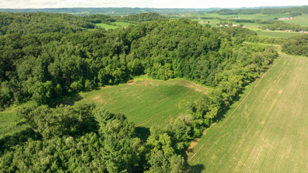 115 +/- Acre Farm Offered in 2 Lots Online Only Auction - image 48