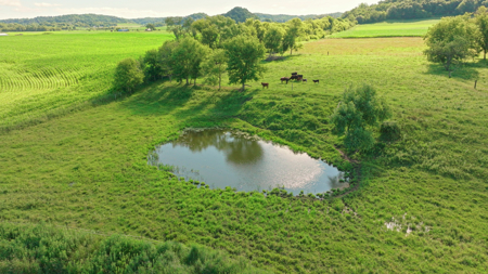 115 +/- Acre Farm Offered in 2 Lots Online Only Auction - image 47