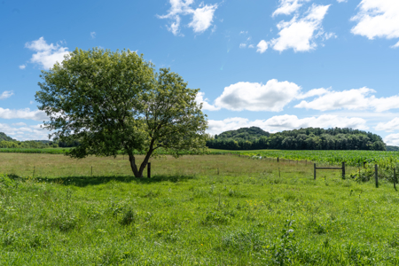 115 +/- Acre Farm Offered in 2 Lots Online Only Auction - image 14