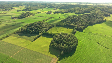 115 +/- Acre Farm Offered in 2 Lots Online Only Auction - image 41