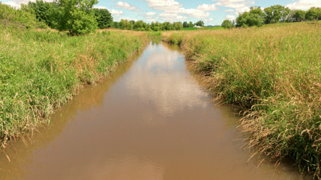 115 +/- Acre Farm Offered in 2 Lots Online Only Auction - image 49