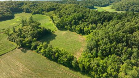 115 +/- Acre Farm Offered in 2 Lots Online Only Auction - image 43