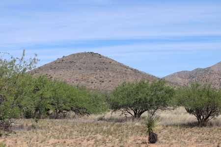 Custom Estate In Dragoon Mtn Ranch, St. David, AZ - image 12