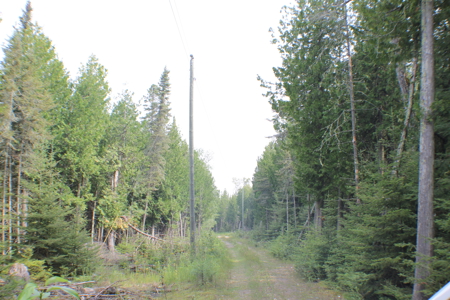 Awesome water front lot on Drummond Island, MI 49726 - image 8