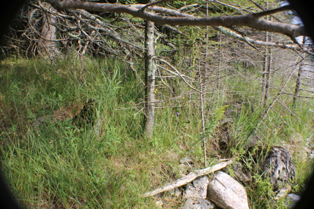 Awesome water front lot on Drummond Island, MI 49726 - image 16