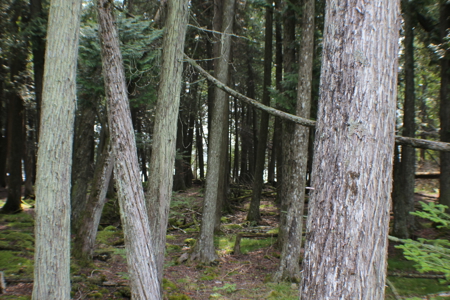 Awesome water front lot on Drummond Island, MI 49726 - image 9