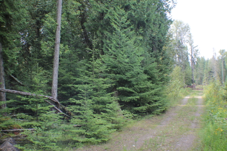 Awesome water front lot on Drummond Island, MI 49726 - image 4