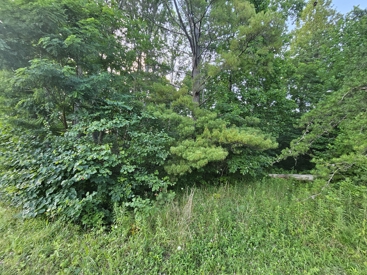 Listing 34