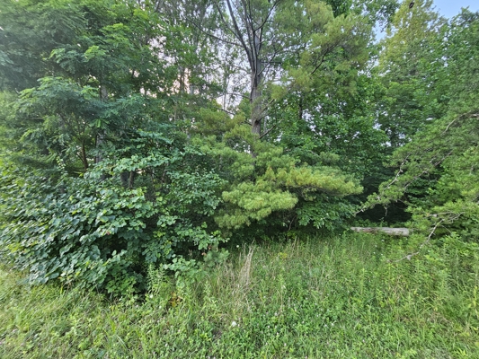 Land for Sale in Washington County VA