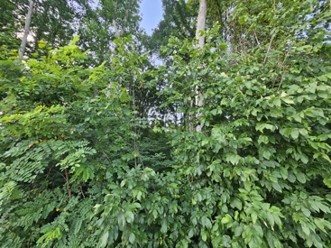 Listing 34