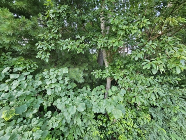 Listing 34